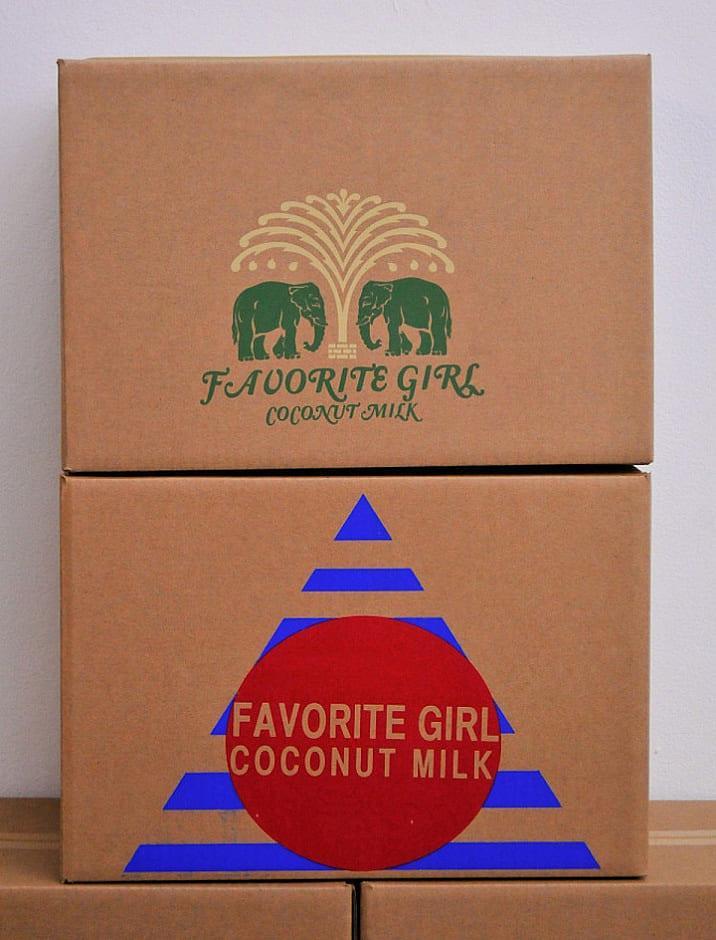 Favorite Girl Coconut Milk ™ - коробки для кокосового молока