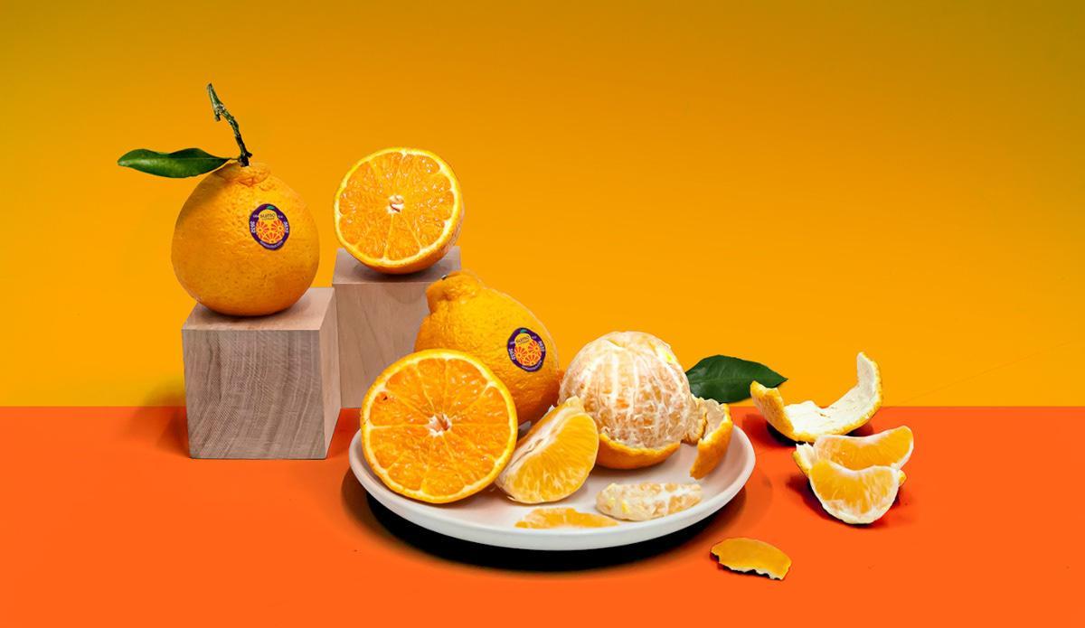 Упаковка для мандаринов Sumo Citrus