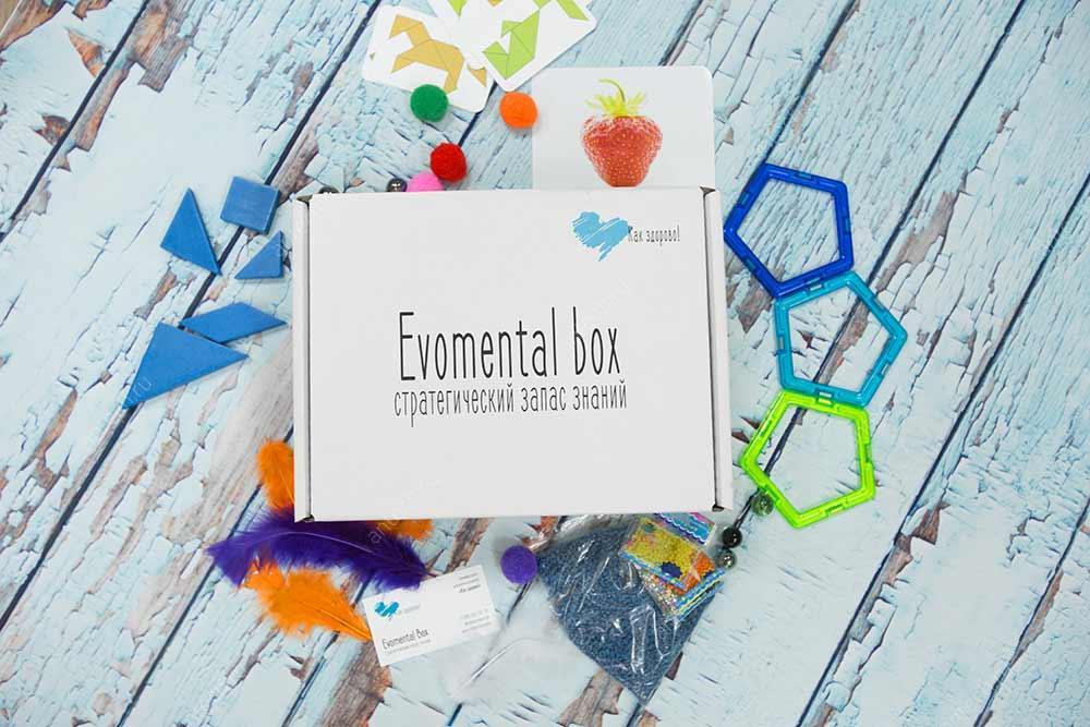 Чемоданы для развивающих детских наборов EVOMENTAL BOX